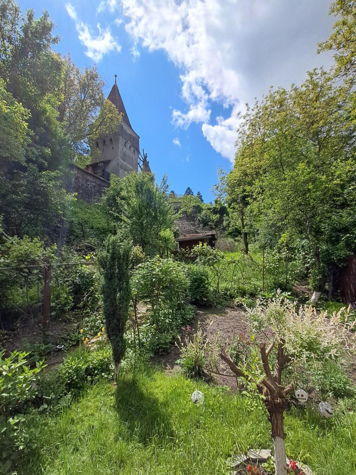 Casa Adimi Daire Sighişoara Dış mekan fotoğraf