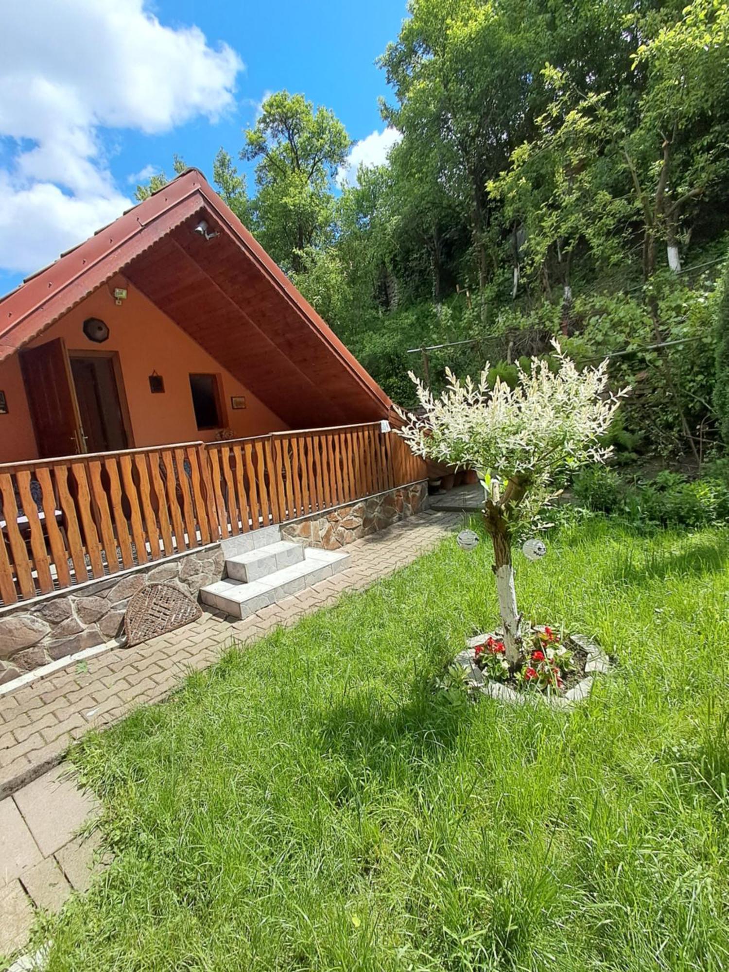 Casa Adimi Daire Sighişoara Dış mekan fotoğraf